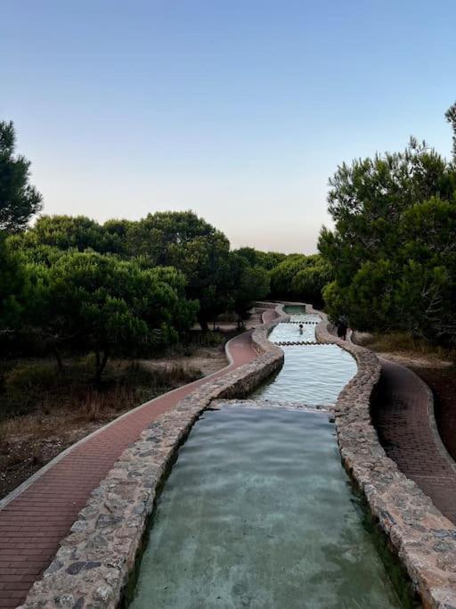 Apartament Viajeros Vinamar VII ラ・マタ エクステリア 写真